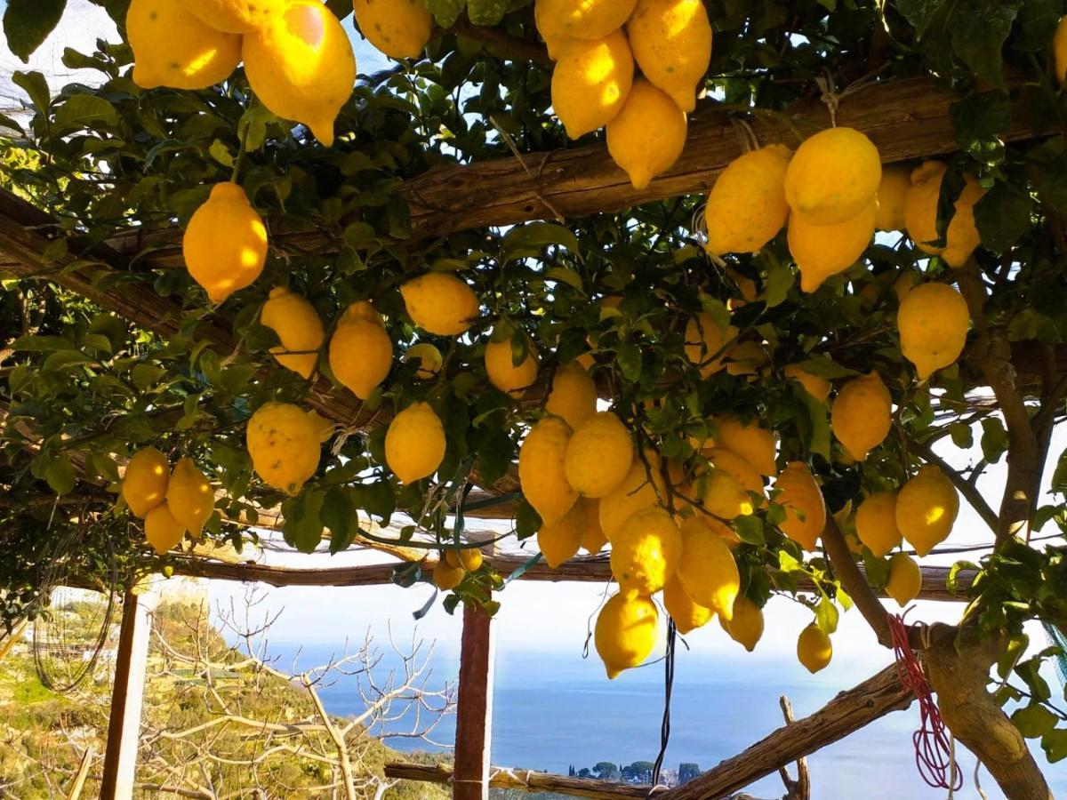 فيلا Amalfi Sea View سكالا المظهر الخارجي الصورة